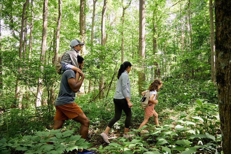 Primland Resort, Auberge Resorts Collection Meadows of Dan Экстерьер фото